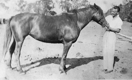 Bogandillon, New South Wales, with his favourite pony, 1929. Bogandillon, New South Wales, with his favourite pony, 1929.